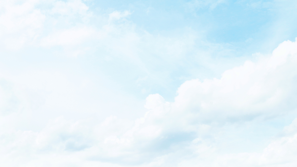 Bright Flite - Website (2).png